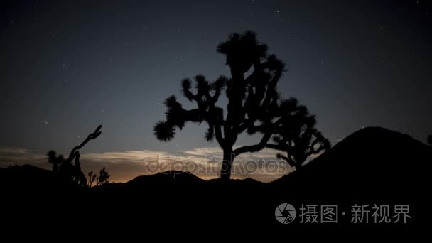 流星划过天空的约书亚树剪影视频