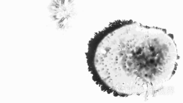 显微镜下的细菌的繁殖视频