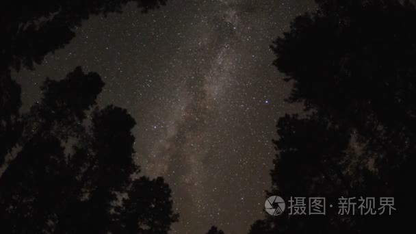 星空的树冠视频