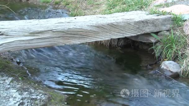 新竹象山湿地视频