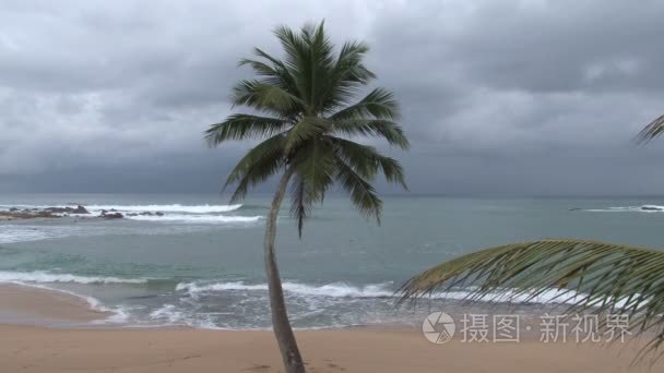 斯里兰卡阳光海滩视频