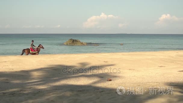 在沿海一带的男孩骑乘马视频