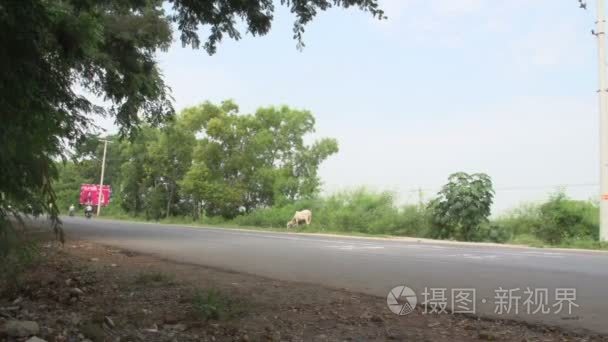 亚洲街市场视频