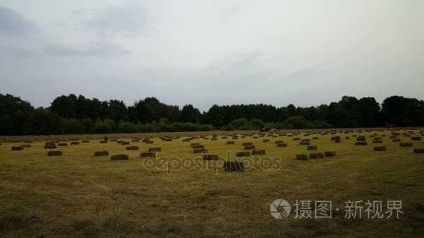 农业机械制作干草捆视频