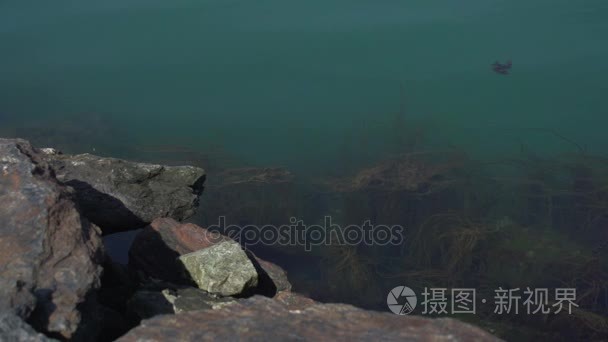 挪威湖峡湾视频