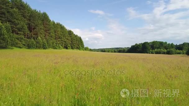 绿油油的草地鸟瞰图视频