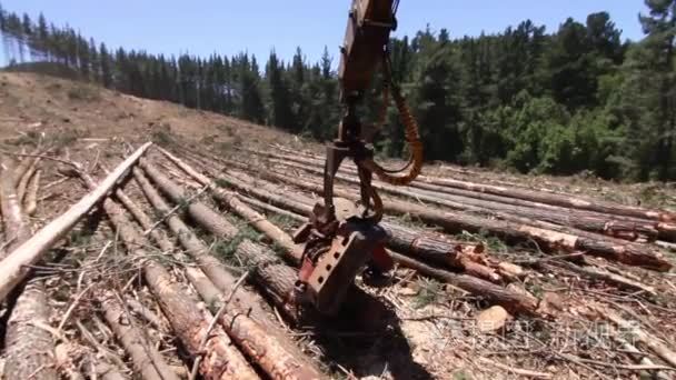 工业机器处理森林木材视频