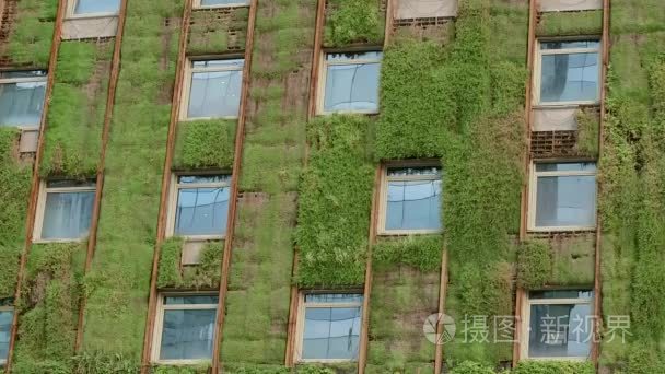 生态建筑与植物视频