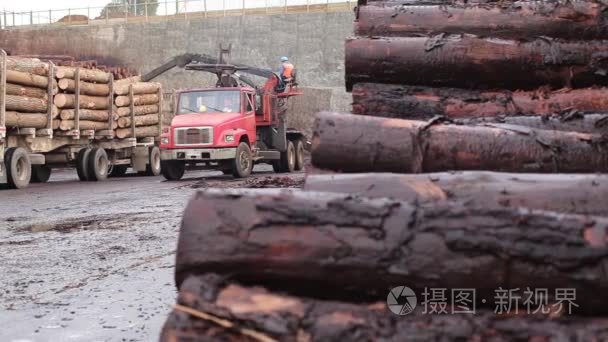 木材工业产品视频