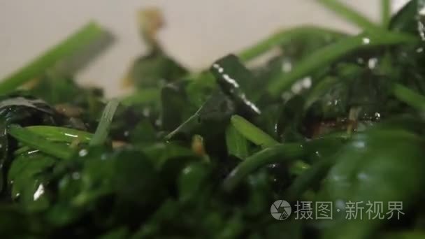 在泛绿党与烹饪食物视频