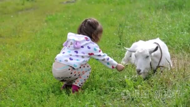 可爱的小女孩，饲养在一个农场的白山羊