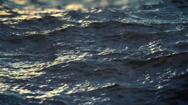 水王_水王子图片_水王子的秘密到底是什么