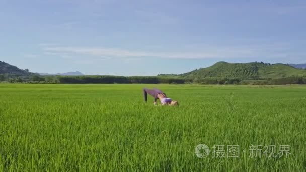 在稻田做瑜伽的女孩