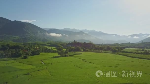 稻田之间热带植物对山