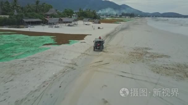 皮卡驱动器沿着海滩与干燥海藻视频