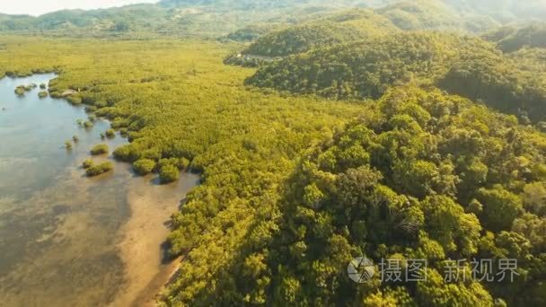 与热带岛屿、 沙滩、 岩石和波浪的海景。薄荷岛，菲律宾