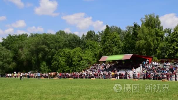 展览在展会上的大牛市和招标视频