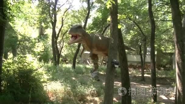在动物园里的恐龙公园视频