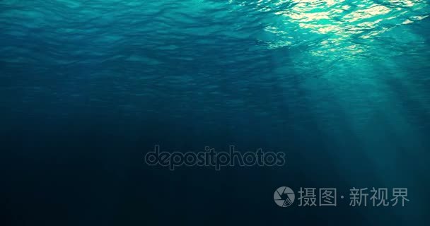 完全无缝环的深蓝色加勒比海洋波浪从水下背景光线照耀