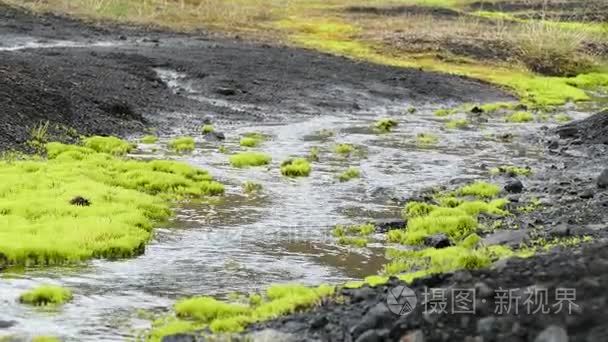 英尺的自然步道的徒步旅行者视频