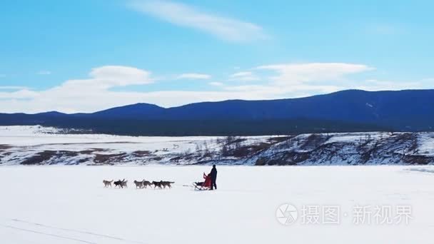 狗拉雪橇在冻结贝加尔湖冰面上视频