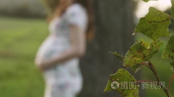 怀孕的女人享受夏天的天气新鲜的草地上视频