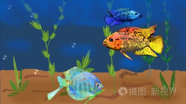 动画的水族馆有五彩斑斓的热带鱼和植物，上升的气泡。无缝 loopable 视频动画