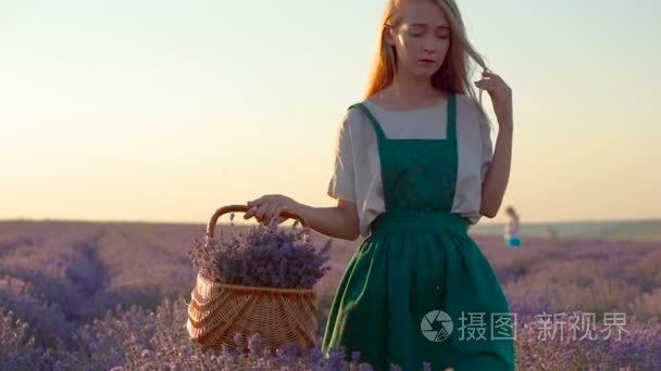 快乐的年轻的漂亮的女人，走在薰衣草田提着篮子在白色和绿色的衣服