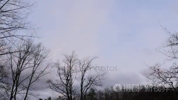 多彩的日落 time lapse，光秃秃的树和云在冬末
