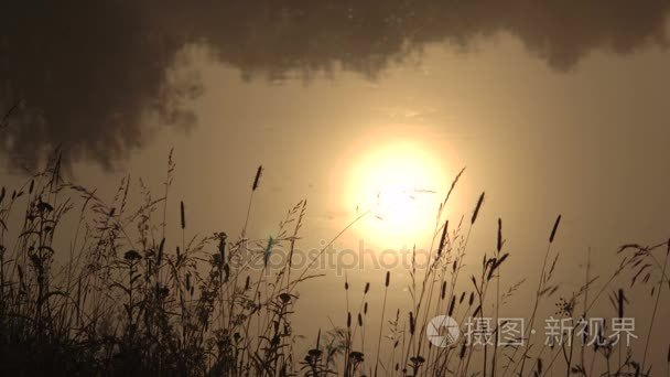 有雾的夏日早晨日出时的河岸上