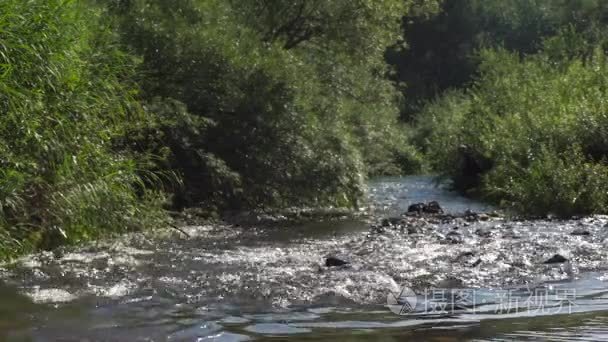 锁定拍摄的一条小山涧河流视频