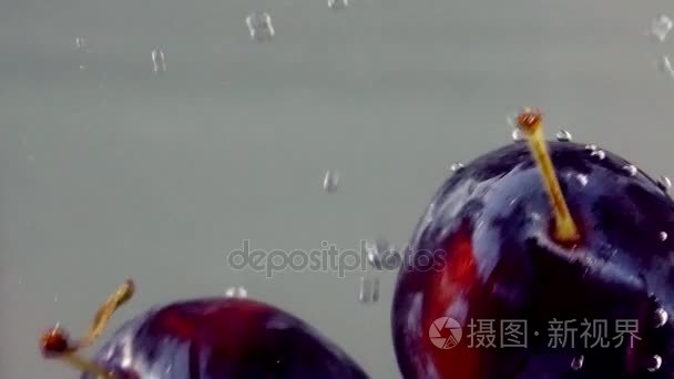 在白色背景上的水蓝色梅花滴视频
