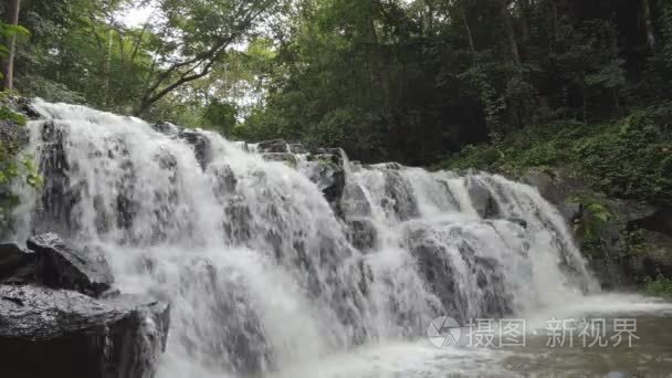 热带雨林中的瀑布视频