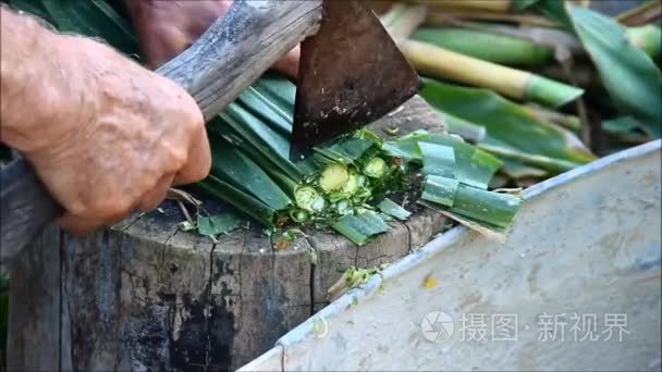 男性农民砍动物玉米秸秆饲料