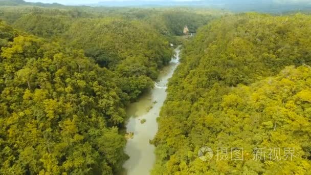 洛博克河在雨林菲律宾薄荷岛视频