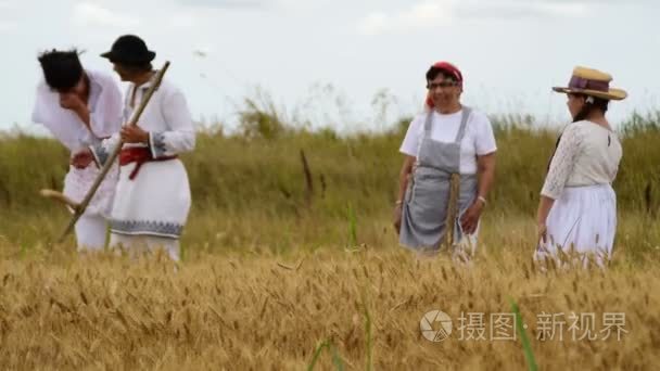 几代人的女性谈收获前领域视频