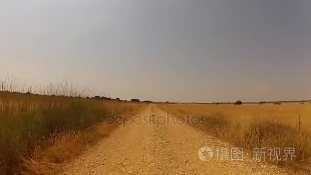 尘土飞扬的道路驱动器视频