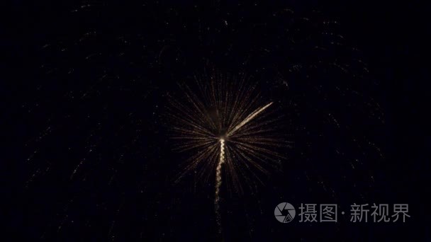 炫彩烟花在夜空中视频