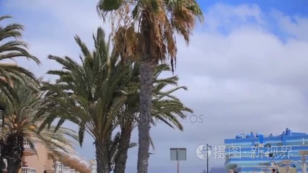 豪华酒店花园热带加那利西班牙视频