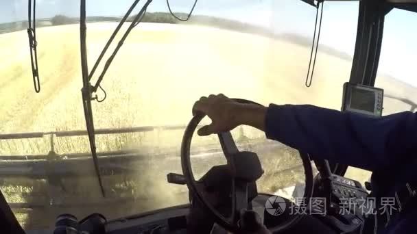 男子驾驶联合收割机收割小麦视频