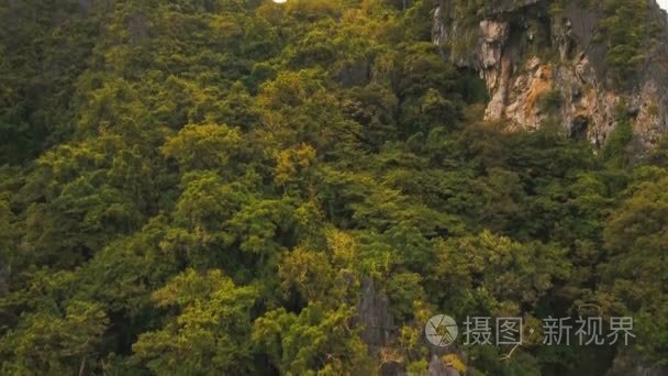 热带雨林中的山，鸟瞰图