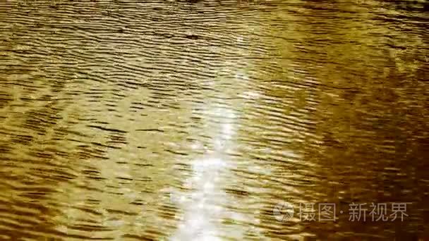 波光粼粼的湖表面背景视频