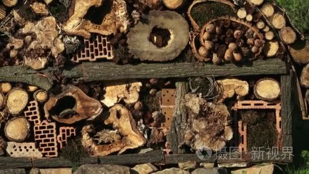 蜜蜂和由天然材料制成的昆虫屋视频