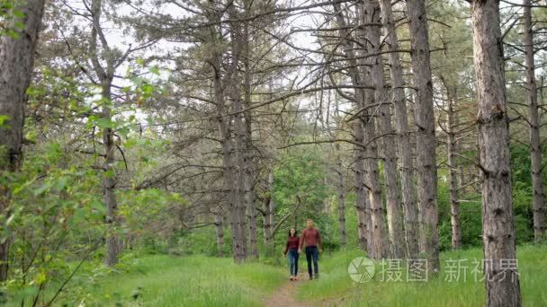 美丽优雅情侣相爱，走在木材 浪漫的日期