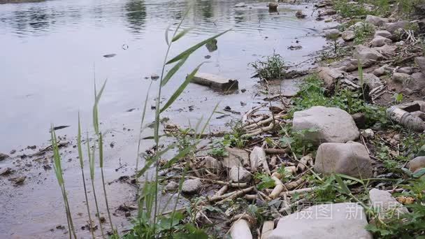 大量的垃圾污染本港水域视频