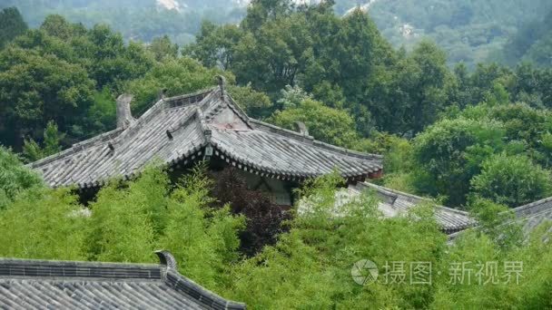 中国古代建筑在竹林里视频