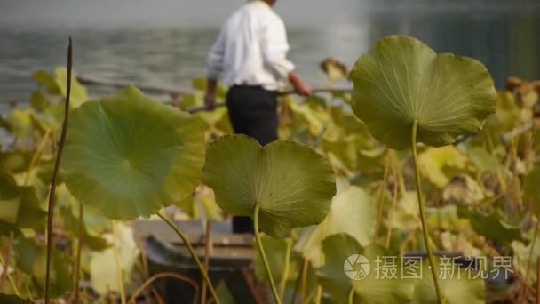 中国-Oct 12，2016年： 巨大莲花池，在北京的船上的渔夫
