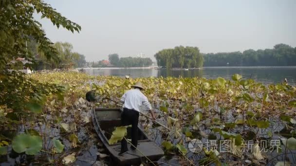 中国Oct 12，2016年 巨大莲花池，渔民在木船清洁湖在北京