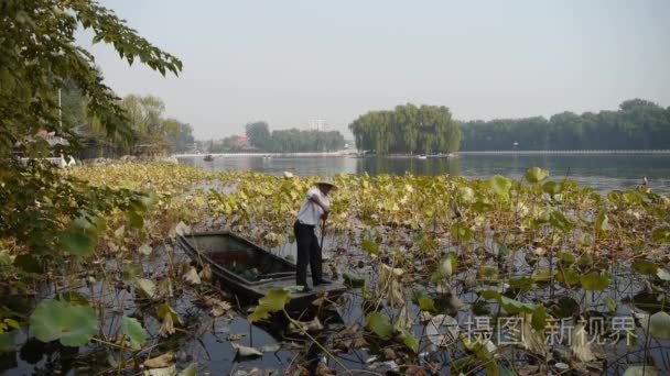 中国-Oct 12，2016:cruise 船码头、 游艇船 lake.willow 依托北京禁止在河上
