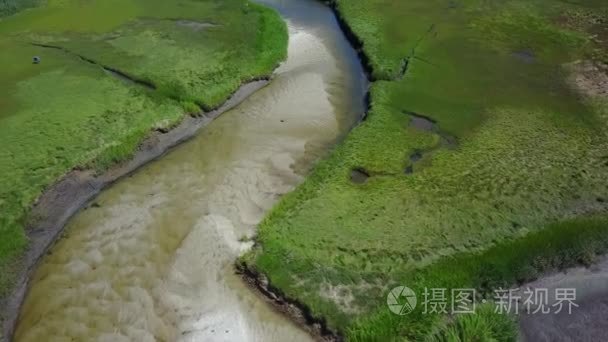 通过湿地鳕鱼角的蜿蜒通道视频